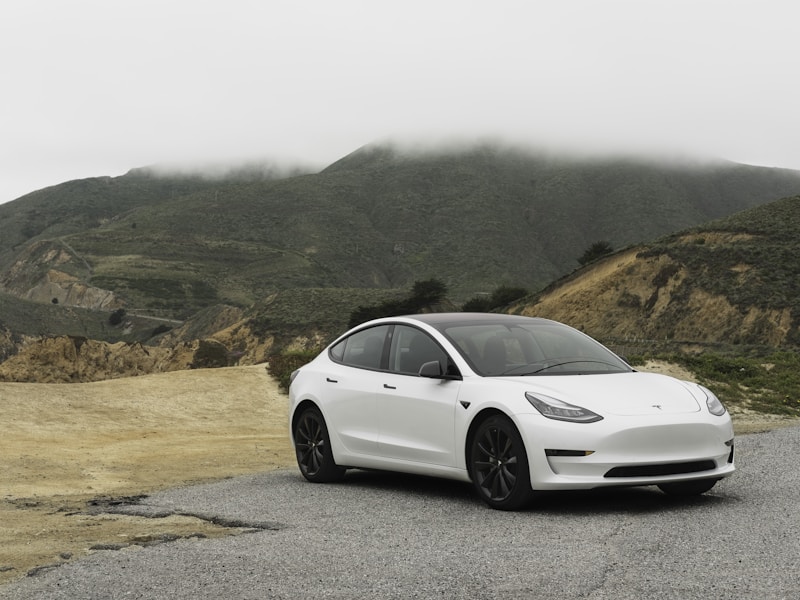Tesla Model S Paint Protection